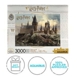 Harry Potter Puzzle Hogwarts (3000 Teile)