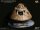 Apollo 11 Replik 1/20 Command Module (DX) 20 cm