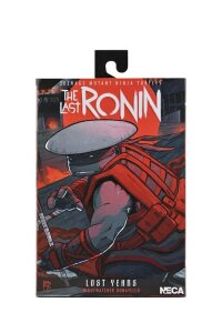 Teenage Mutant Ninja Turtles (The Last Ronin The Lost...