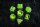 Dragon Storm Inclusion Würfel Set Green Dragon (7)