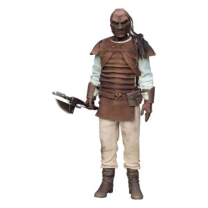 Die Rückkehr der Jedi-Ritter Actionfigur 1/6 Pagetti...
