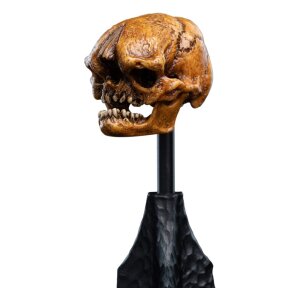 Herr der Ringe Mini Statue Skull of a Misty Mountain Goblin 14 cm