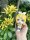 Character Vocal Series: Kagamine Rin/Len Look Up PVC Statue Kagamine Rin 11 cm