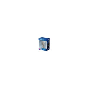 PlayStation Pocket Hero Schlüsselanhänger Display (12)