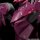 Fafner in the Azure The Beyond Moderoid Plastic Model Kit Fafner Mark Sieben Kai Azrael 19 cm