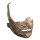 The Texas Chainsaw Massacre: The Beginning Maske Leatherface Muzzle