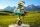 Critical Role Statue Fresh Cut Grass - Bells Hells 21 cm