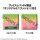 Wicked Look Up PVC Statuen Elphaba & Glinda (with gift) 11 cm
