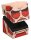 Squaroes Squaroe Attack on Titan AOT006 - Colossal Titan