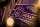 Theory 11 Spielkarten Monarch Purple