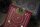 Theory 11 Spielkarten Tycoon Red