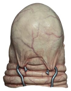 Hellraiser Maske Butterball