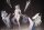 Goddess of Victory: Nikke Actionfigur 1/12 Cinderella 16 cm