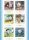 Genshin Impact Magnet Blind Box A Display (16)
