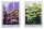 Herr der Ringe Geschirrtuch 2er Pack Rivendell & Hobbiton 70 cm
