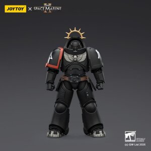 Warhammer 40,000 Actionfigur Raven Guard Heavy...