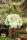 Fantastic Bunny O2 Plan Series Minifiguren Blind Box Sortiment (6)