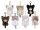 Planet Cat Wishing Star Series Minifiguren Blind Box Display 11 cm (6)