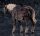 Elden Ring Figma Actionfigur Torrent, the Spectral Steed 18 cm