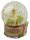 DreamWorks Shrek Schneekugel 10 cm