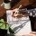 Pinocchio Premium Notizbuch mit Stift Set A5
