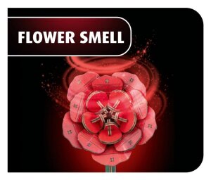 Revell Flowers Holzblumen Dream of Roses 22 cm
