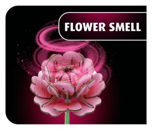 Revell Flowers Holzblumen Flower Garden 22 cm