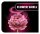 Revell Flowers Holzblumen Flower Garden 22 cm