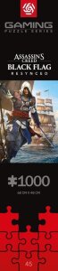 Assassins Creed Black Flag Resynced Puzzle (1000 Teile)