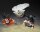 Dragon Ball Z S.H.Figuarts Actionfigur Son Gohan (Z-Fighters) (Limited Edition Z-Fighters Group Base Ver. A) 11 cm
