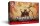 Dungeons & Dragons RPG Referenzkarten: Monster (Tiere und NSCs) *EN*