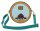 Phineas & Ferb Perry the Platypus Pool Crossbody Bag