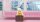 Upset Duck: Status Display Duck Blind Box Figur 5 cm Display (6)
