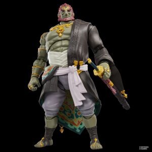 The Legend of Zelda: Tears of the Kingdom Heroes of...