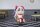 Umamusume: Cinderella Gray Mini Memory Minifigur Nervous Tama-chan 8 cm