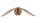 Harry Potter 3D-Holzpuzzle Goldener Schnatz