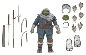 Teenage Mutant Ninja Turtles (The Last Ronin- The Lost...
