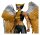 DC Multiverse McFarlane Collector Edition Actionfigur Hawkgirl (Kendra Saunders) 28 cm