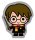 Harry Potter Soft Velboa Dekokissen Harry Potter 36 x 32 cm